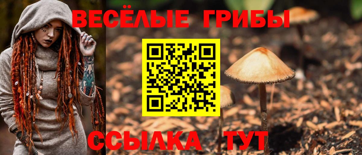 Бахчисарай  Галлюциногенные грибы GOLDEN TEACHER  Вход с VPN 